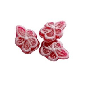 bonbons-barnier-a-la-violette-de-chandeau-degustation