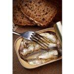 sardines-gonidec-de-chandeau-degustation
