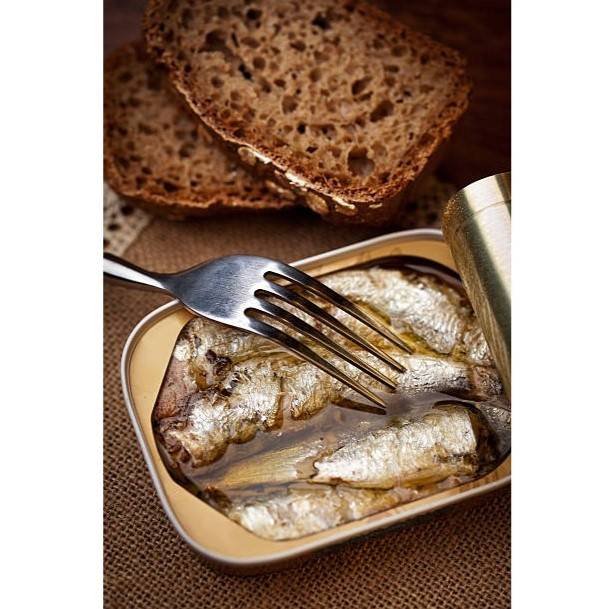 sardines-gonidec-de-chandeau-degustation