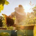 Apiculteur symbolisant l'engagement de De Chandeau pour des miels naturels, récoltés en France sans produits chimiques.
